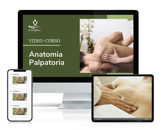 Anatomia-Palpatoria_ZR